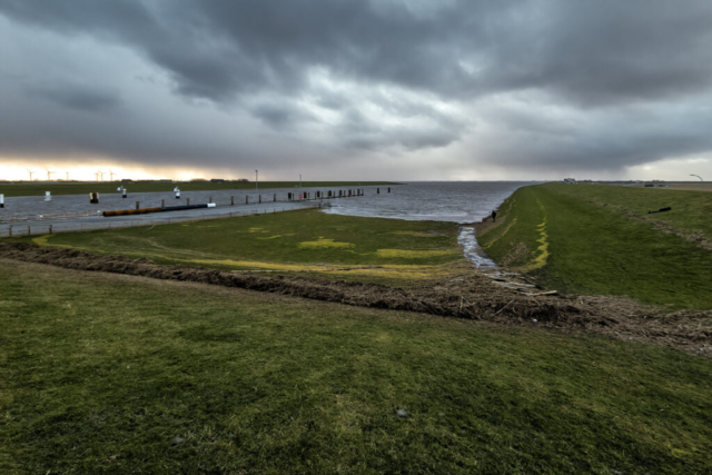 Dockkoog am Sperrwerk Husum