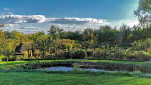 Noldes Garten